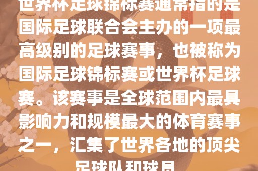 国际足球联合会