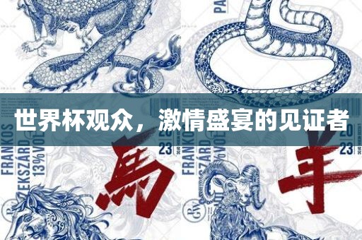 世界杯观众，激情盛宴的见证者洛阳市法福文化传播有限公司