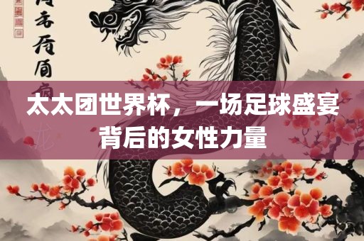 太太团世界杯，一场足球盛宴背后的女性力量洛阳市法福文化传播有限公司