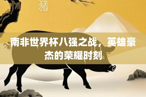 南非世界杯八强之战，英雄豪杰的荣耀时刻