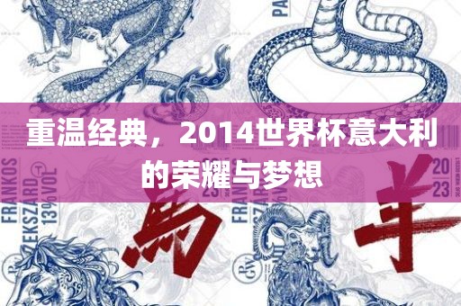 重温经典，2014世界杯意大利的荣耀与梦想洛阳市法福文化传播有限公司