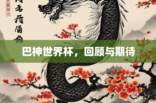 巴神世界杯，回顾与期待