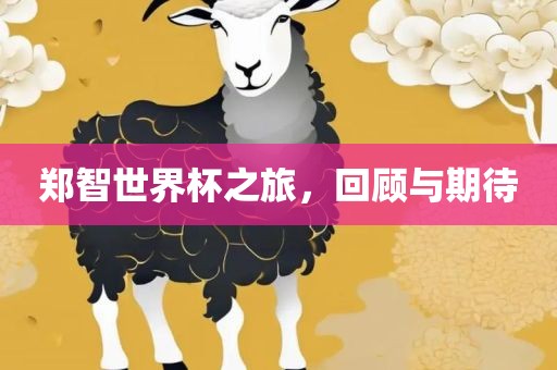 郑智世界杯之旅，回顾与期待