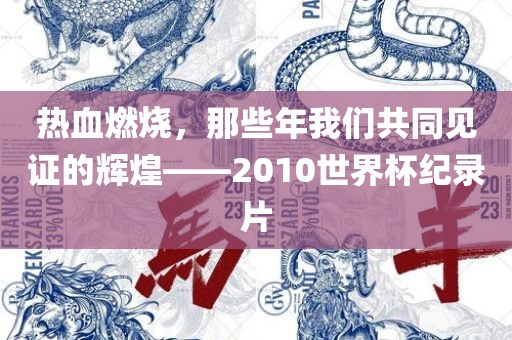 热血燃烧，那些年我们共同见证的辉煌——2010世界杯纪录片