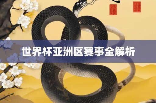 世界杯亚洲区赛洛阳市法福文化传播有限公司事全解析