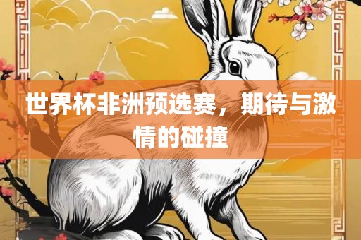 世界杯非洲预选赛，期待与激情的碰撞