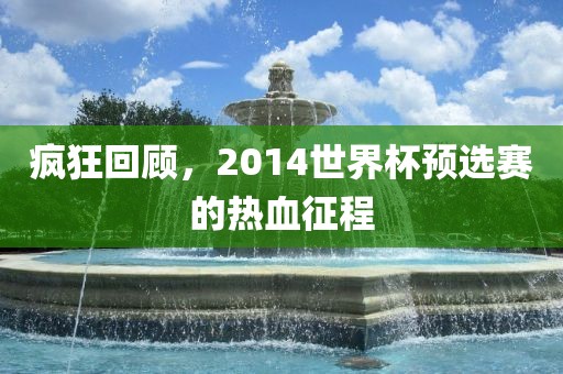 疯狂回顾，2014世界杯预选赛的热血征程洛阳市法福文化传播有限公司