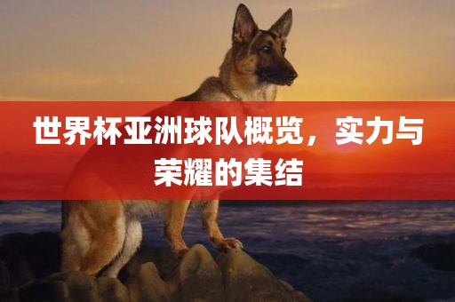 世界杯亚洲球队概览，实力与荣耀的集结