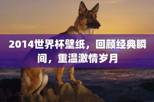 2014世界杯壁纸，回顾经典瞬间，重温激情岁月