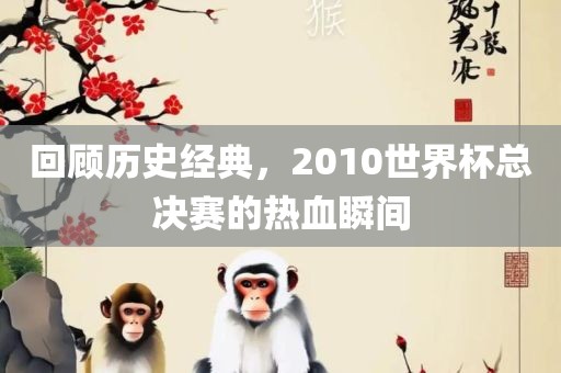 回顾历史经典，2010世界杯总决赛的热血瞬间
