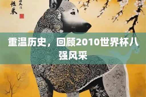 重温历史，回顾2010世界杯八强风采