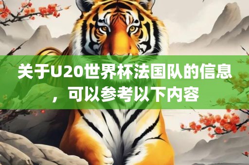 关于U20世界杯法国队的信息，可以参考以下内容洛阳市法福文化传播有限公司