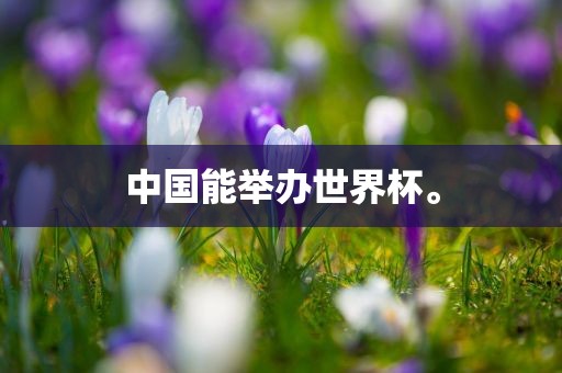 中国能举办世界杯。