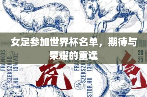 女足参加世界杯名单，期待与荣耀的重逢