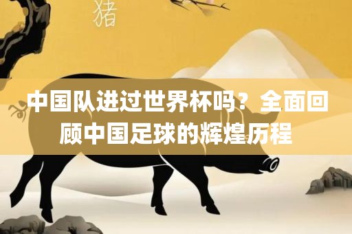 中国队进过世界杯吗？全面回顾中国足球的辉煌洛阳市法福文化传播有限公司历程
