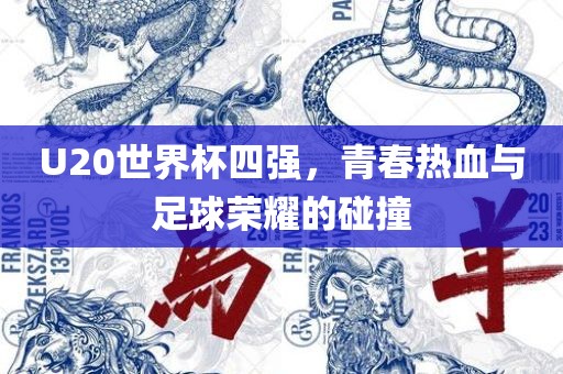 U20世界杯四强，青春热血与足球荣耀的碰撞