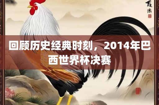 回顾历史经典时刻，2014年巴西世界杯决赛