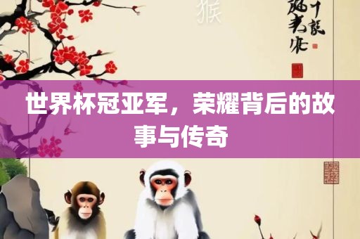 世界杯冠亚军，荣耀背后的故事与传奇洛阳市法福文化传播有限公司