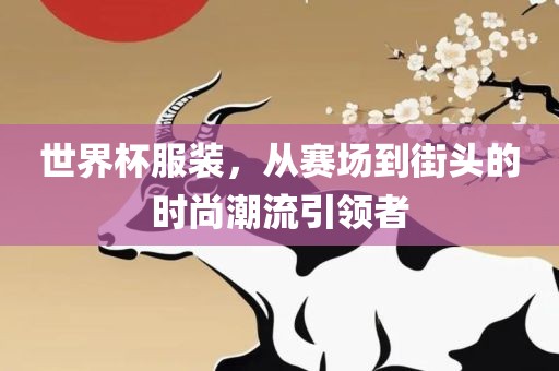 世界杯服装，从赛场到街头的时尚潮流引领者洛阳市法福文化传播有限公司