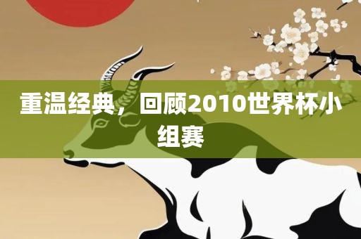 重温经典，回顾2010世界杯小组赛