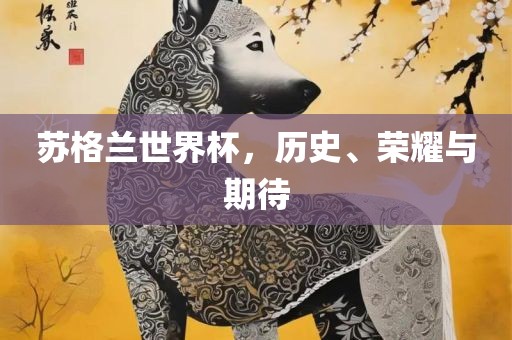 苏格兰世界杯，历史、荣耀与期待