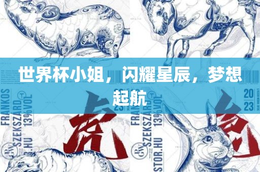 世界杯小姐，闪耀星辰，梦想起航