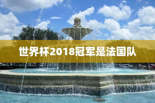 法国队夺冠