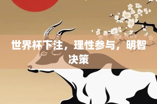 世界杯下注，理性参与，明智决策