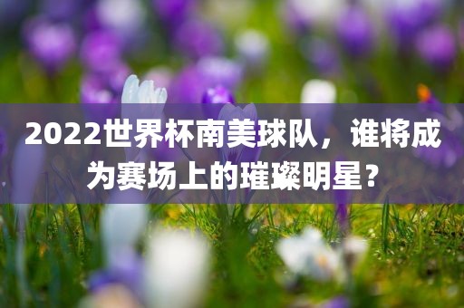 2022世界杯南美球队，谁将成为赛场上的璀璨明星？