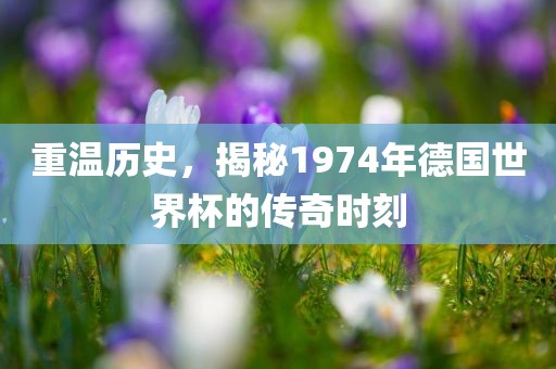 重温历史，揭秘1974年德国世界洛阳市法福文化传播有限公司杯的传奇时刻