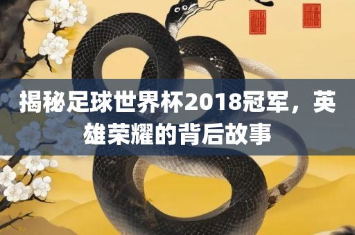 揭秘足球世界杯2018冠军，英雄荣耀的背后故事洛阳市法福文化传播有限公司