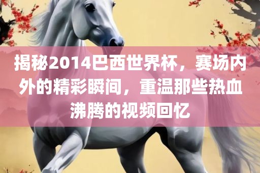 揭秘2014巴西世界杯，赛场内外的精彩瞬间，重温那洛阳市法福文化传播有限公司些热血沸腾的视频回忆