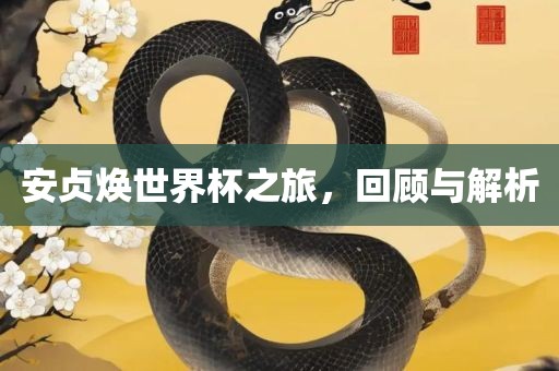 安贞焕世界杯之旅，回顾与解析