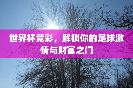 世界杯竞彩，解锁你的足球激情与财富之门