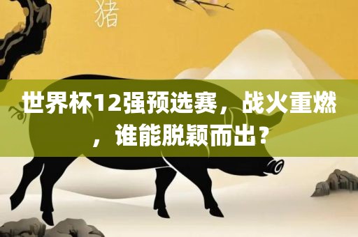 世界杯12强预选赛，战火重燃，谁能脱颖而出？