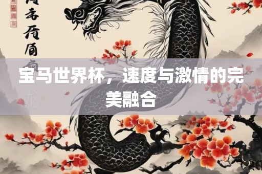 宝马世界杯，速度与激情的完美融合