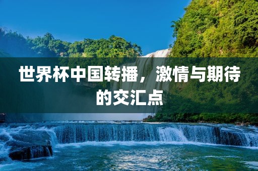 世界杯中国转播，激情与期待的交汇点