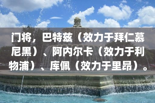 门将，巴特兹（效力于拜仁慕尼黑）、阿内尔卡（效力于利物浦）、库佩（效力于里昂）。