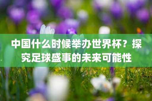 中国什么时候举办世界杯？探究足球盛事的未来可能性