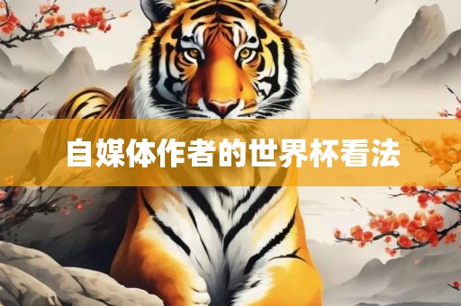 自媒体作者的世界杯看法