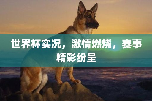 世界杯实况，激情燃烧，赛事精彩纷呈