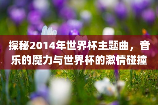 探秘2014年世界杯主题曲，音乐的魔力与世界杯的激情碰撞
