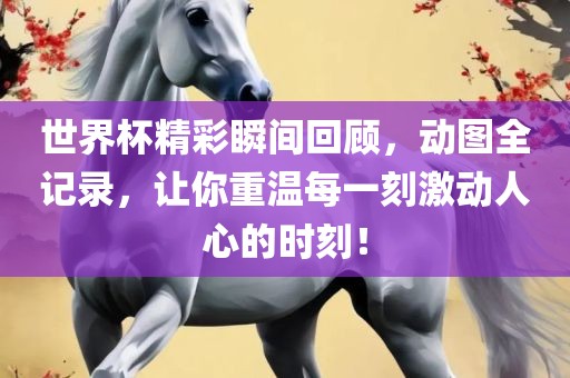 世界杯精彩瞬间回顾，动图全记录，让你重温每一刻激动人心的时刻！洛阳市法福文化传播有限公司