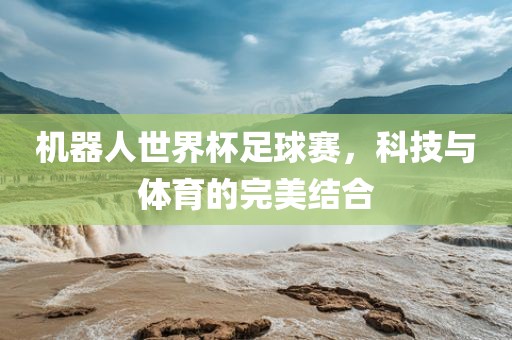 机器人世界杯足球赛，科技与体育的完美结合