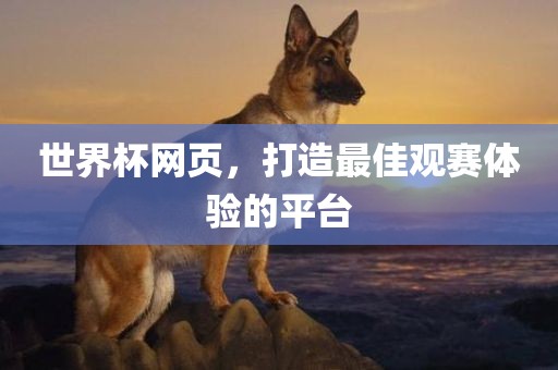 世界杯网页，打造最佳观赛体验的平台