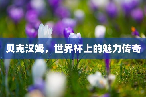 贝克汉姆，世界杯上的魅力传奇