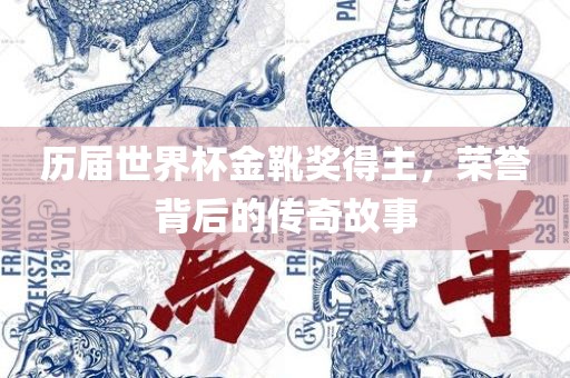历届世界杯金靴奖得主，荣誉背后洛阳市法福文化传播有限公司的传奇故事