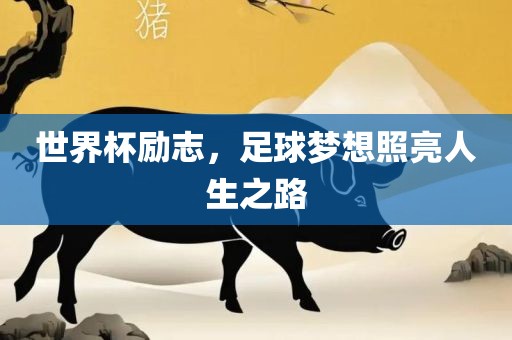 世界杯励志，足球梦想照亮人生之路