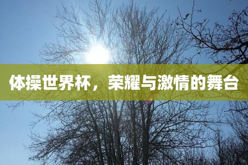 体操世界杯，荣耀与激情的舞台