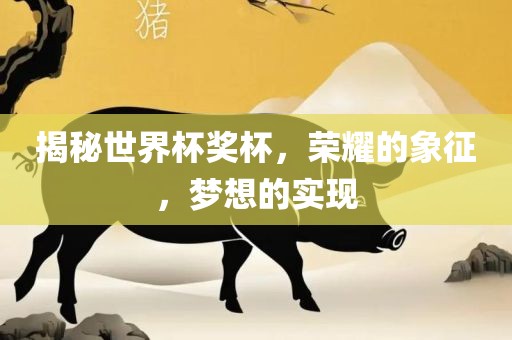 揭秘世界杯奖杯，荣耀的象征，梦想的实现